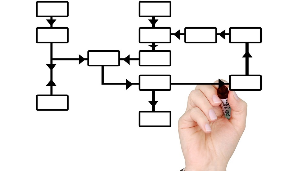 Organizational structure